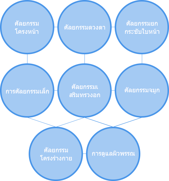 การผ่าตัดทรงใบหน้า การผ่าตัดตา การดึกหน้าให้ดูเด็ก การทำศัลยกรรมตกแต่งเล็ก การเสริมเต้านม การผ่าตัดจมูก การผ่าตัดรูปร่างและการดูแลผิว